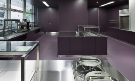 Umbau Mensa, Neue Kantonsschule