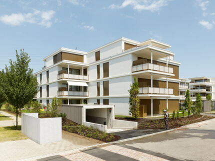 Wohnüberbauung am Amselweg, Wettbewerb 1. Rang