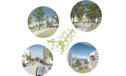 Studienauftrag für Arealüberbauung „Bostudenzelg“ , 2. Rang