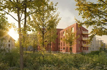 Arealtransformation, Wettbewerb